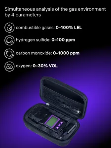 Bild Ermenrich NG60 Gassensor