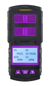 Bild Ermenrich NG60 Gassensor